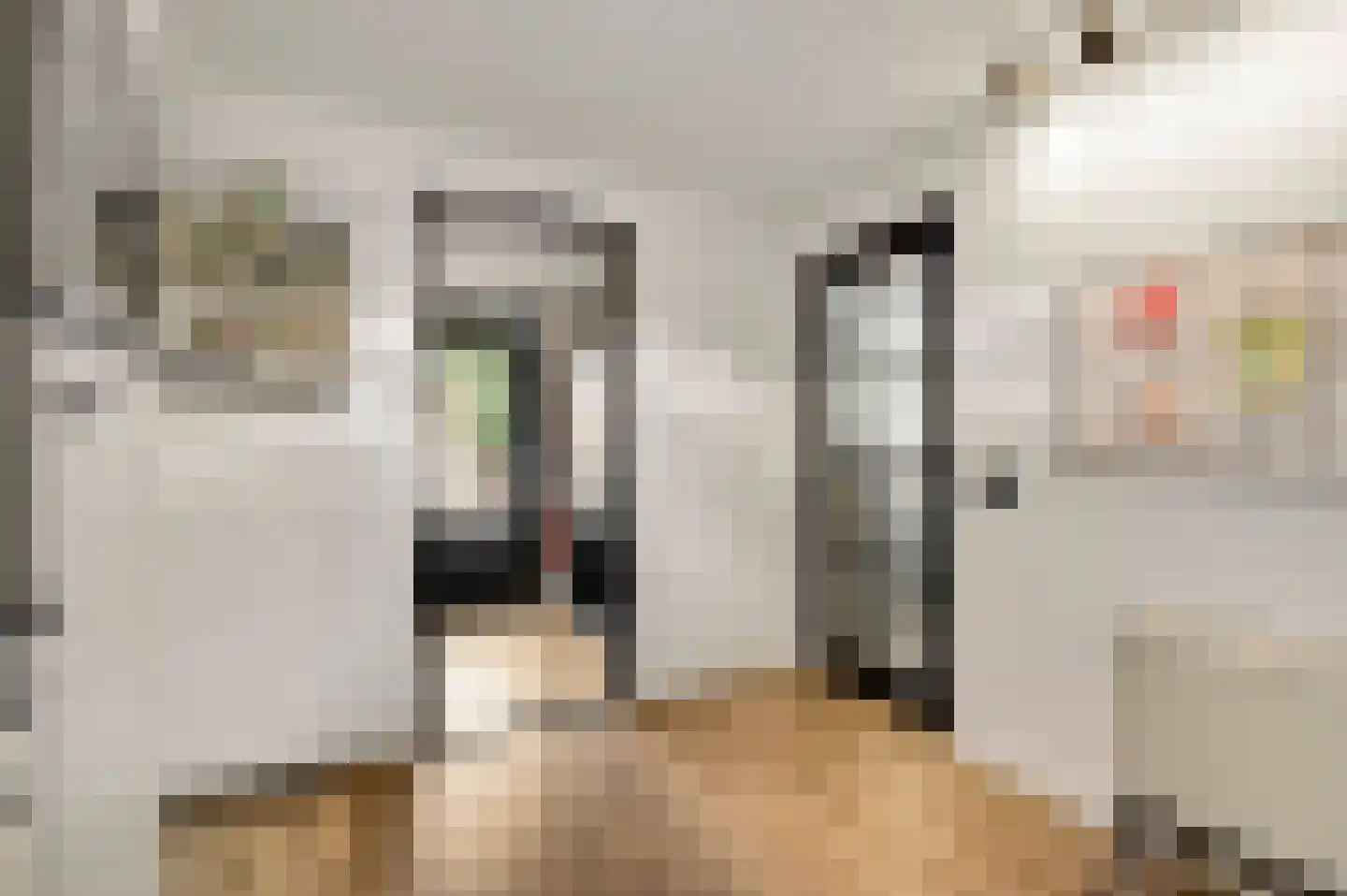 Van Frezinstraat 19 Horst thumbnail 18