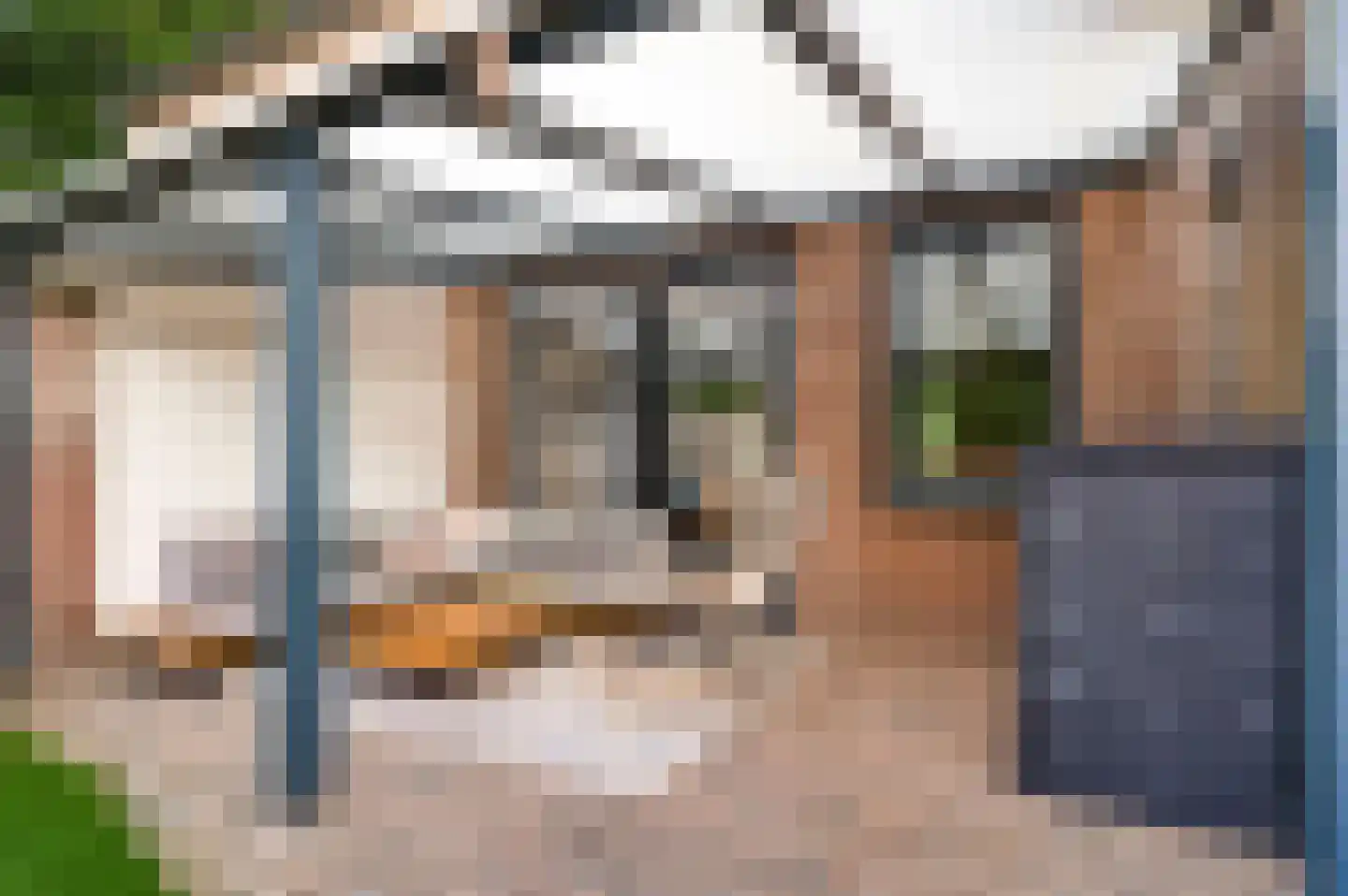 Van Frezinstraat 19 Horst thumbnail 25