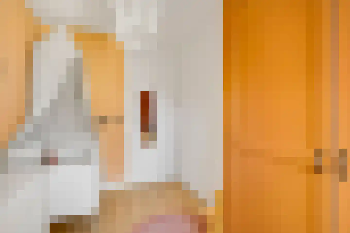 Van Frezinstraat 19 Horst thumbnail 28