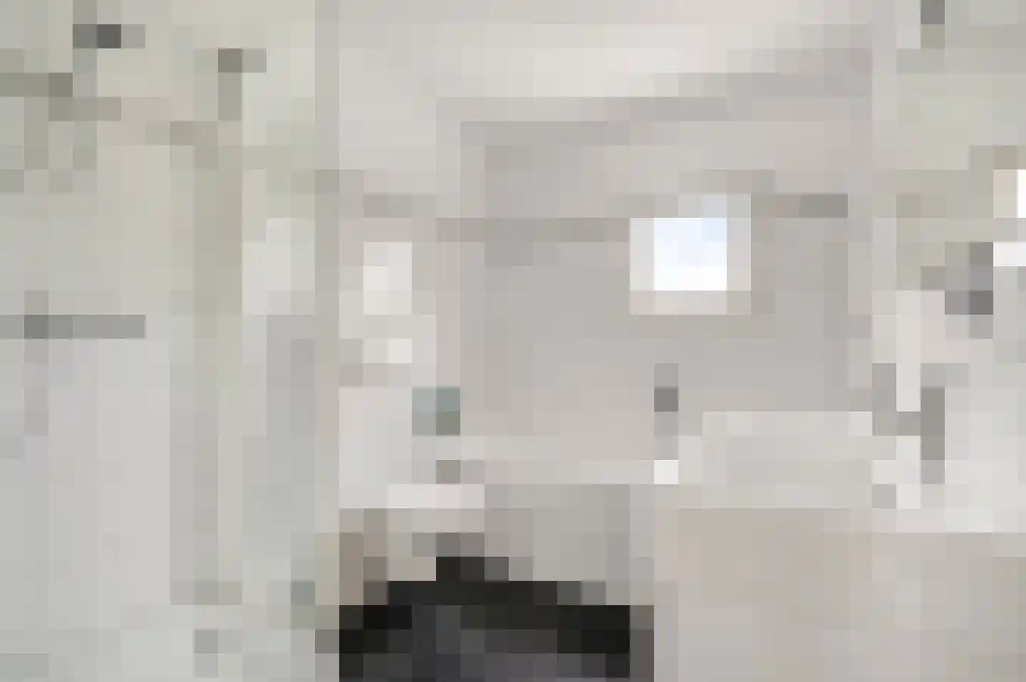 Van Frezinstraat 19 Horst thumbnail 32