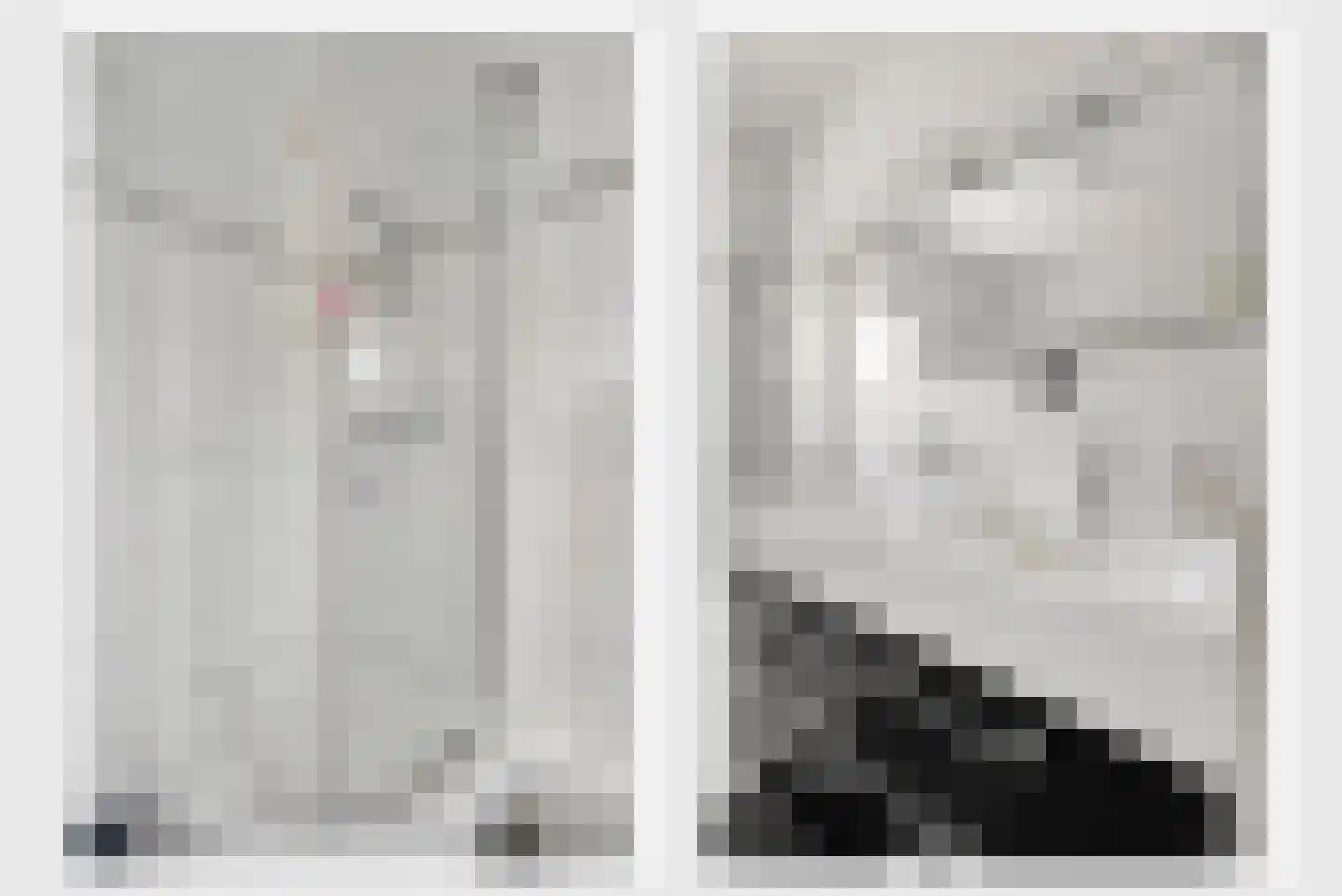 Van Frezinstraat 19 Horst thumbnail 34