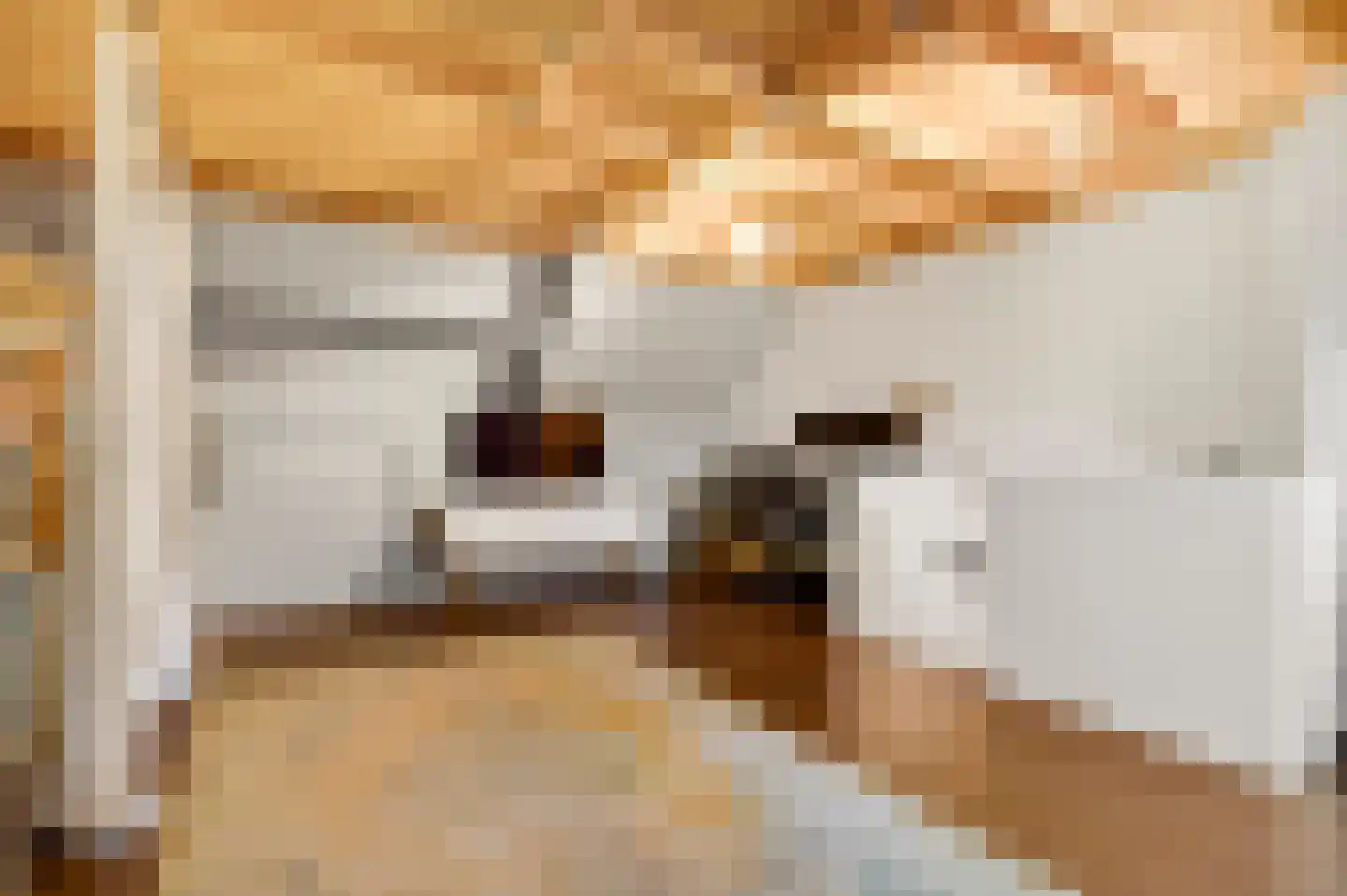 Van Frezinstraat 19 Horst thumbnail 36