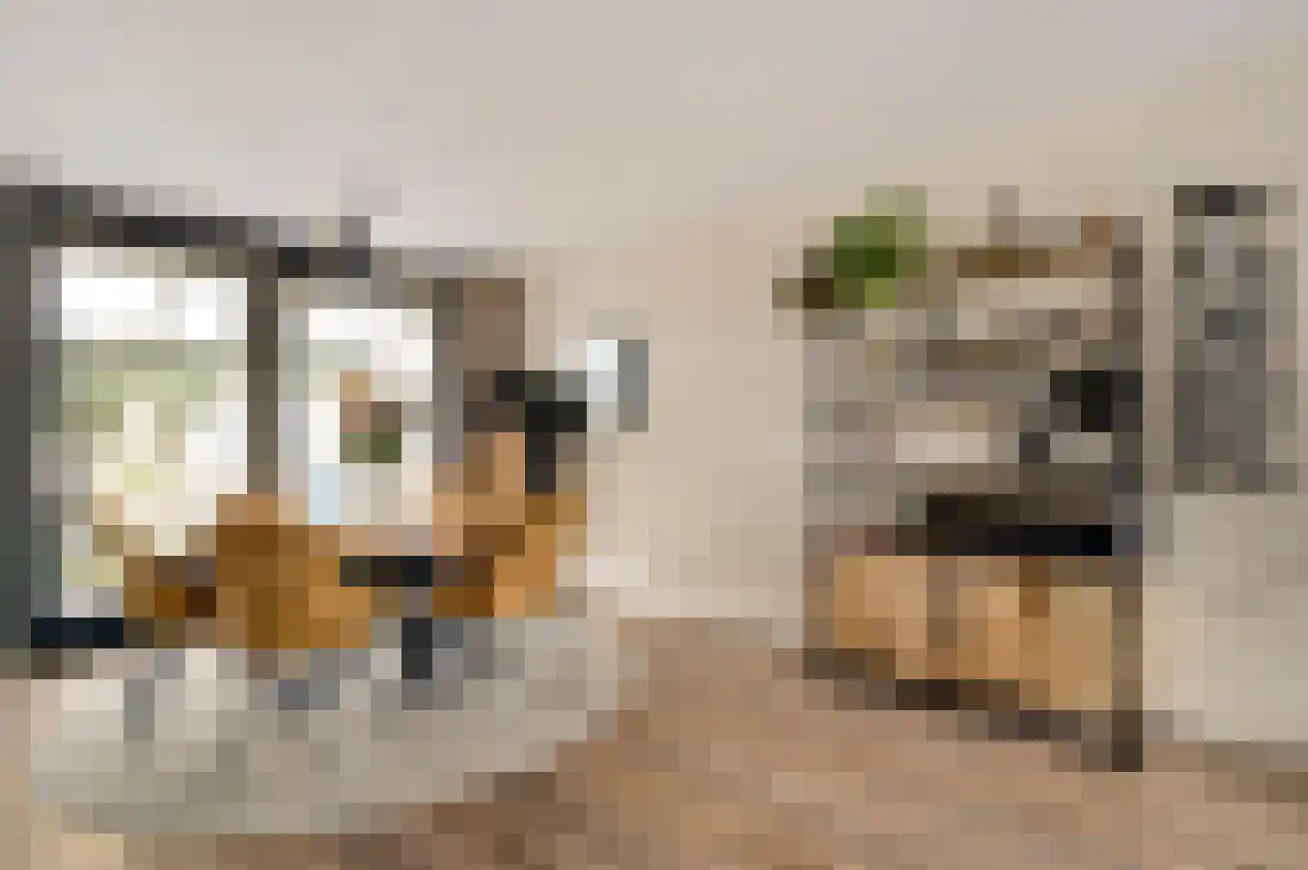 Van Frezinstraat 19 Horst thumbnail 4