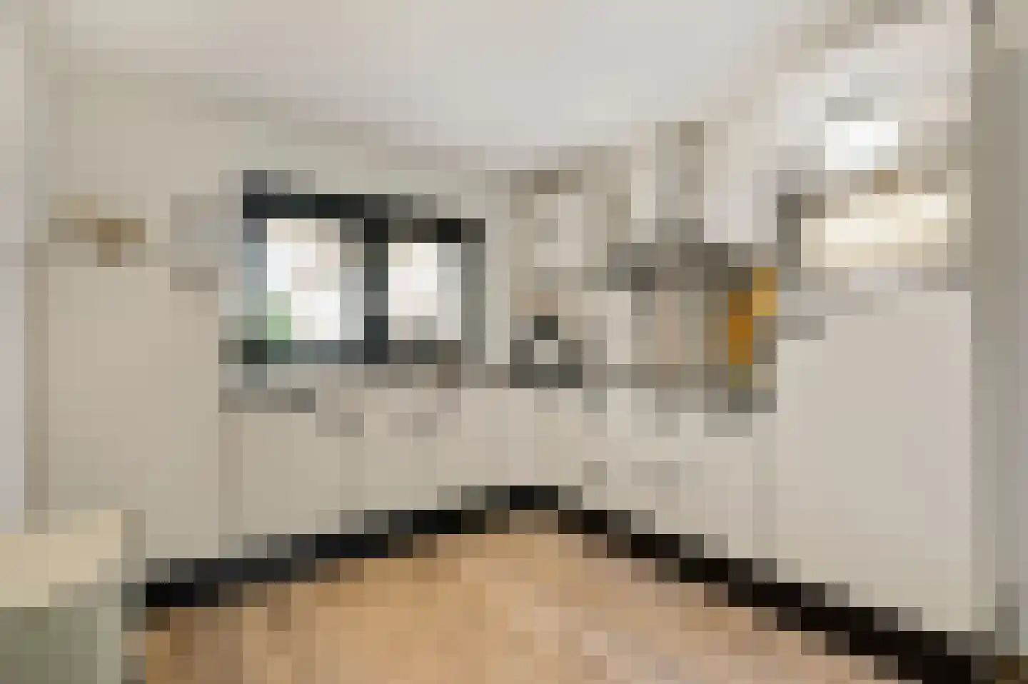 Van Frezinstraat 19 Horst thumbnail 5