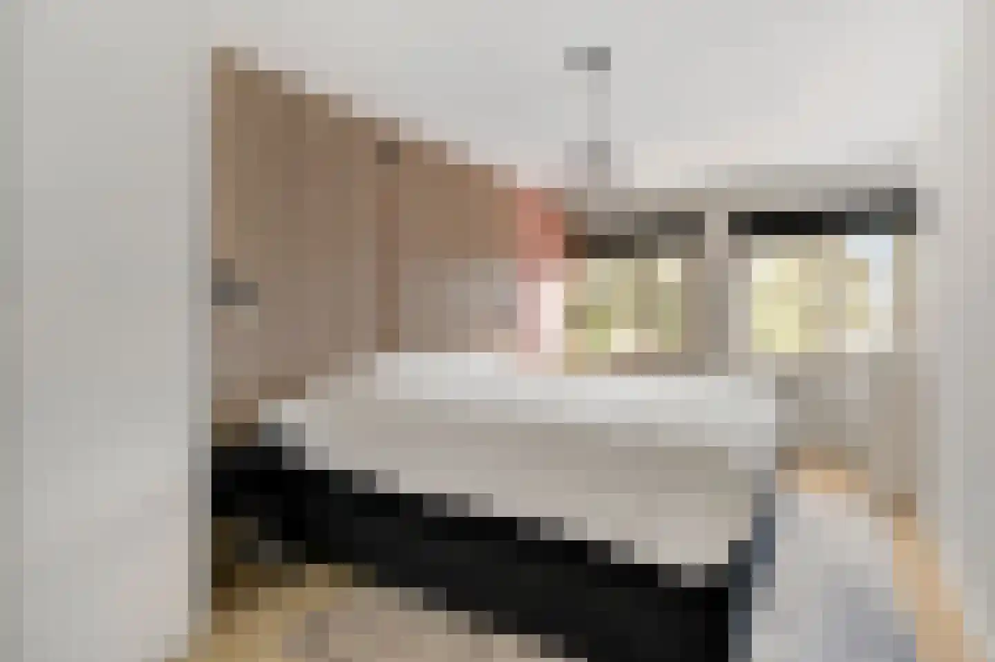 Van Frezinstraat 19 Horst thumbnail 7