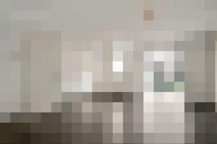 Van Frezinstraat 5 Horst thumbnail 15