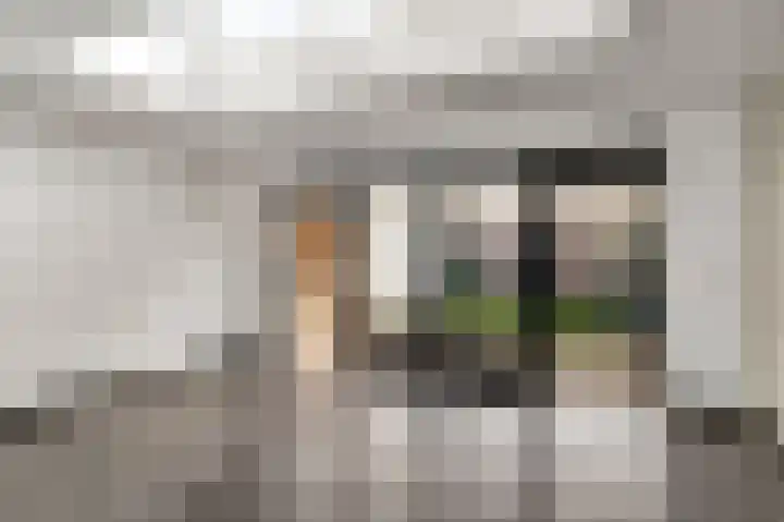Van Frezinstraat 5 Horst thumbnail 17