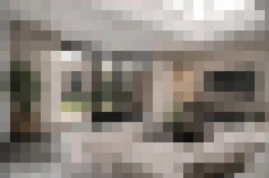 Van Frezinstraat 5 Horst thumbnail 19