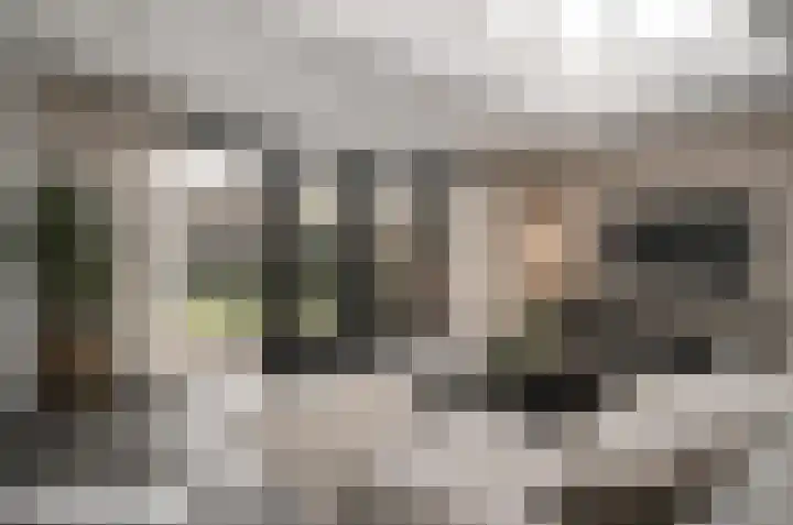 Van Frezinstraat 5 Horst thumbnail 19