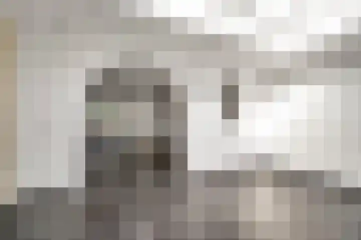 Van Frezinstraat 5 Horst thumbnail 20