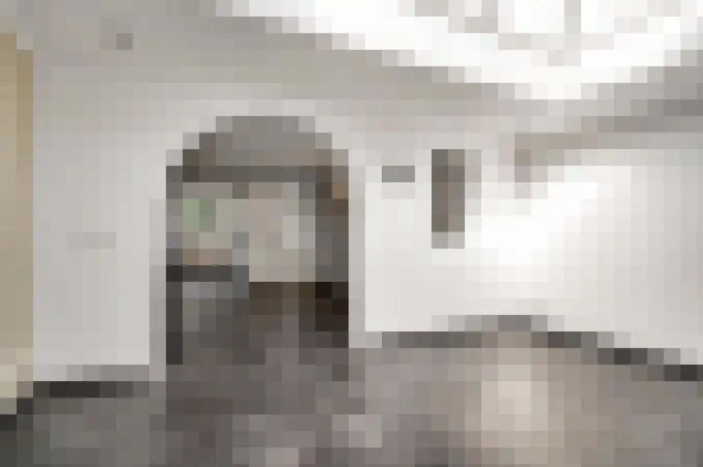 Van Frezinstraat 5 Horst thumbnail 20