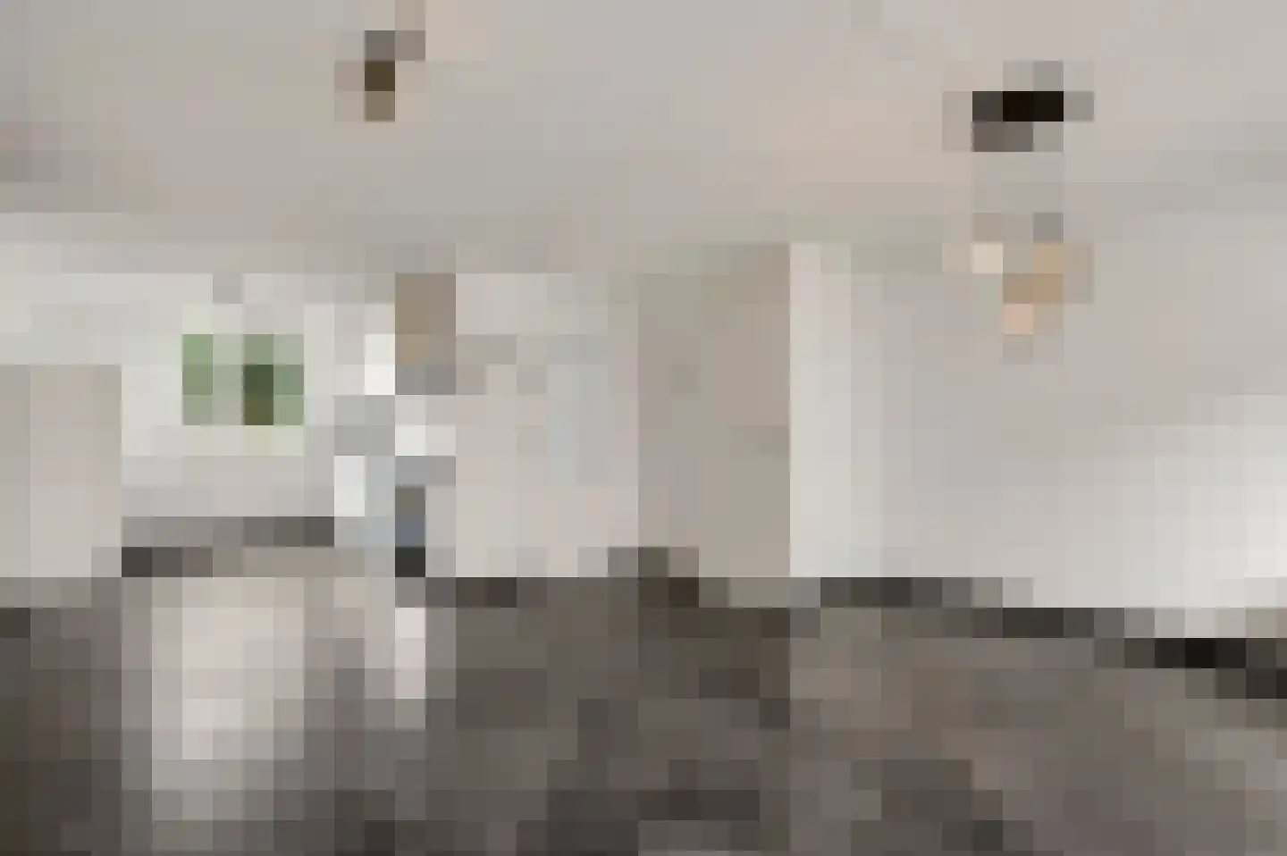 Van Frezinstraat 5 Horst thumbnail 22