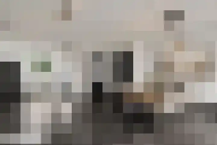 Van Frezinstraat 5 Horst thumbnail 23