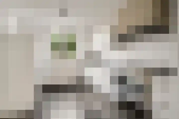 Van Frezinstraat 5 Horst thumbnail 25