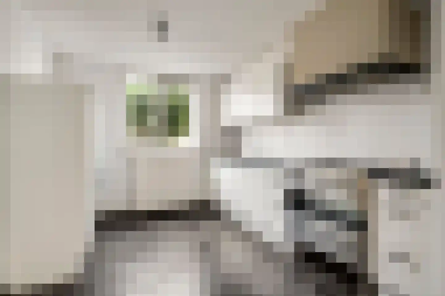 Van Frezinstraat 5 Horst thumbnail 25