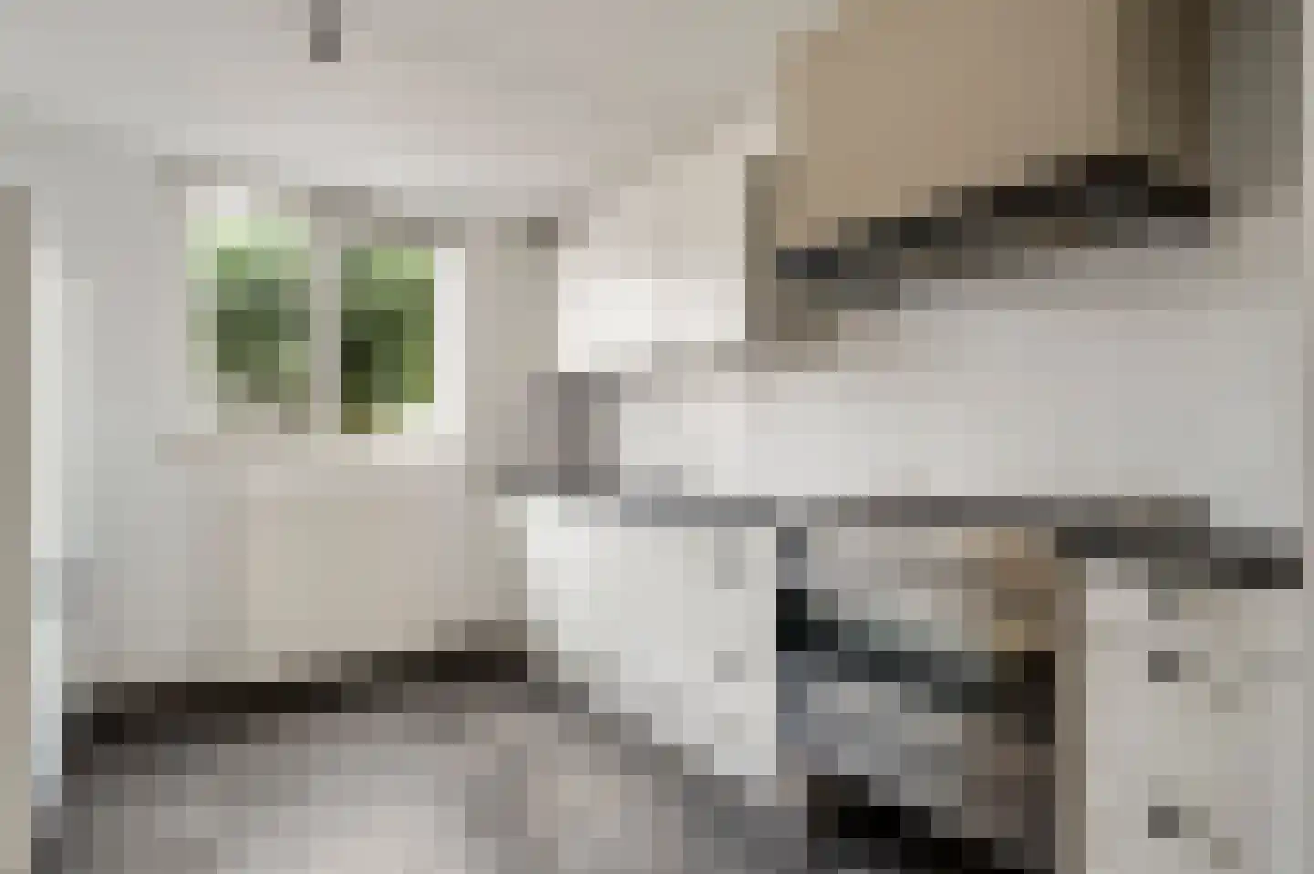 Van Frezinstraat 5 Horst thumbnail 26