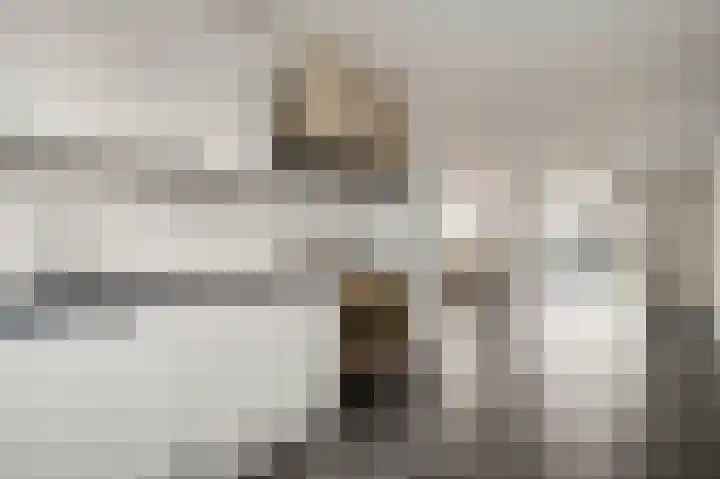 Van Frezinstraat 5 Horst thumbnail 27