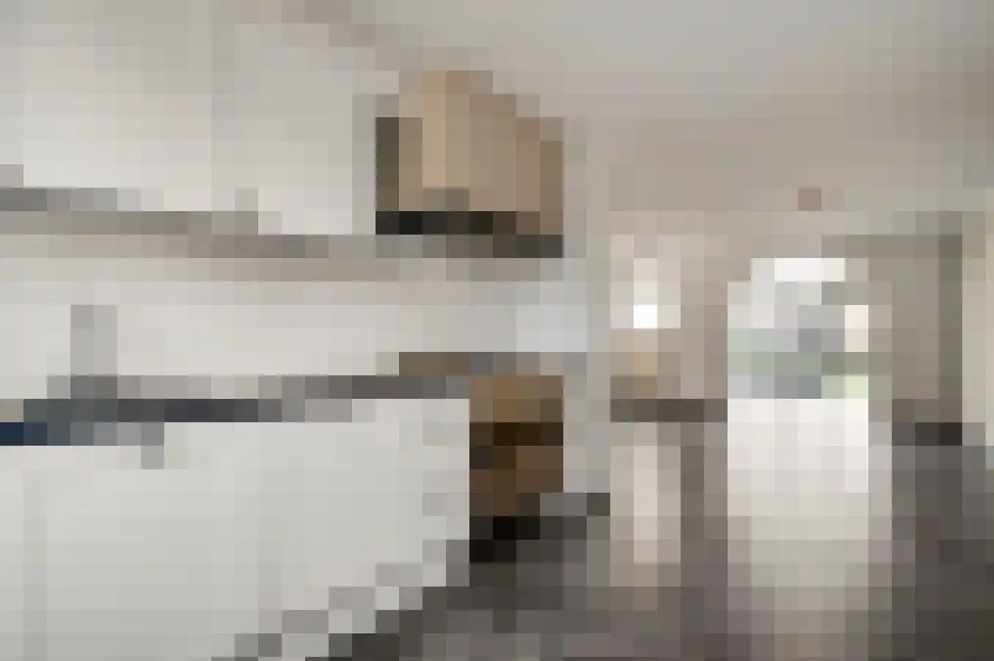 Van Frezinstraat 5 Horst thumbnail 27