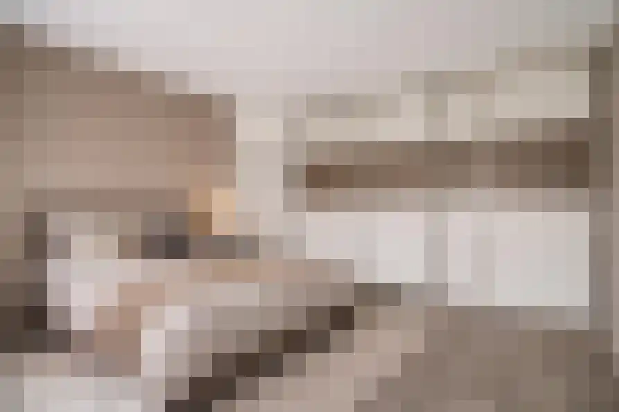 Van Frezinstraat 5 Horst thumbnail 32