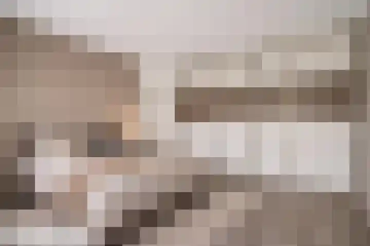 Van Frezinstraat 5 Horst thumbnail 32