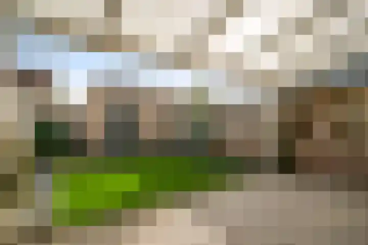 Van Frezinstraat 5 Horst thumbnail 4