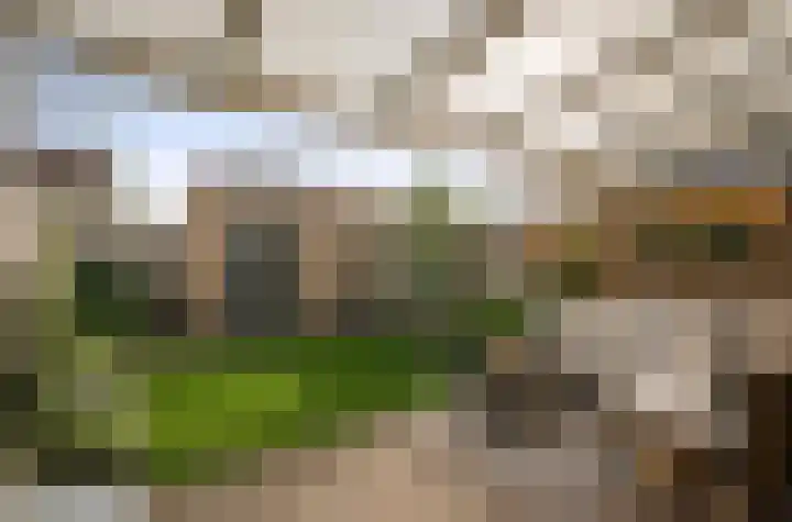 Van Frezinstraat 5 Horst thumbnail 44