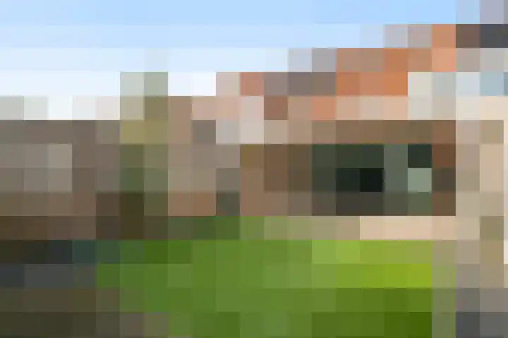 Van Frezinstraat 5 Horst thumbnail 46