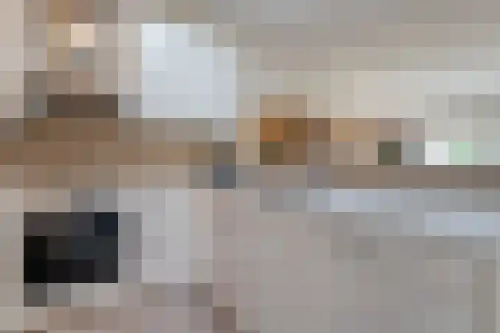 Van Fridaghmarke 22 Zwolle thumbnail 16