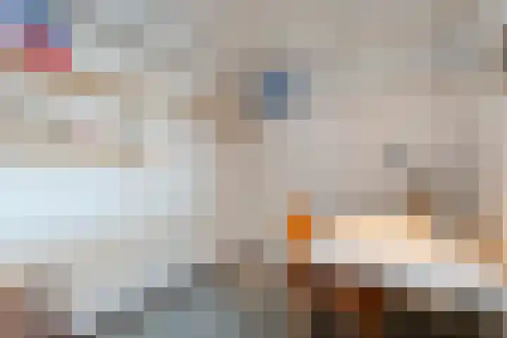 Van Fridaghmarke 22 Zwolle thumbnail 21