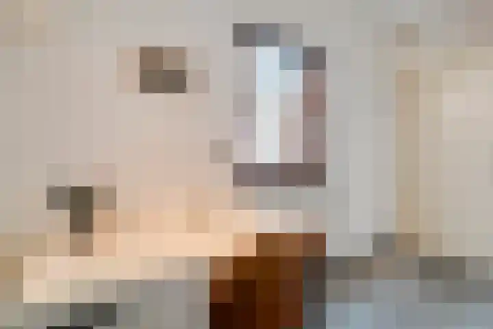 Van Fridaghmarke 22 Zwolle thumbnail 22