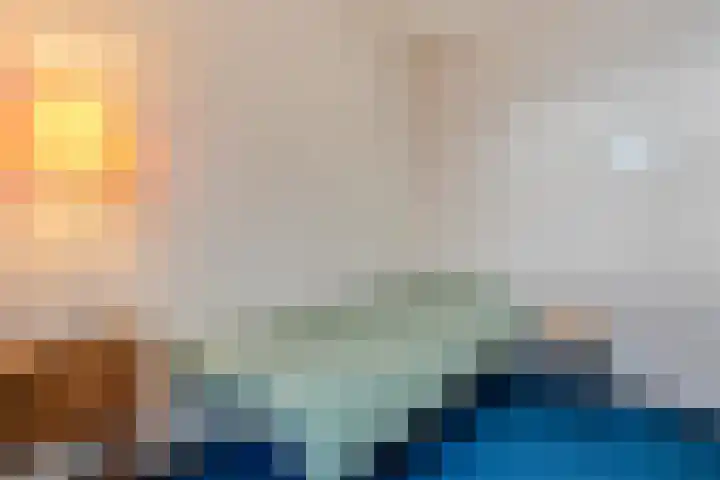 Van Fridaghmarke 22 Zwolle thumbnail 27