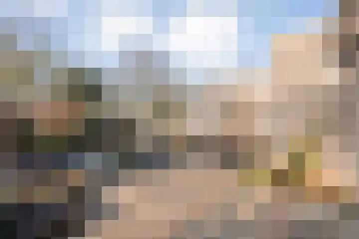Van Fridaghmarke 22 Zwolle thumbnail 29