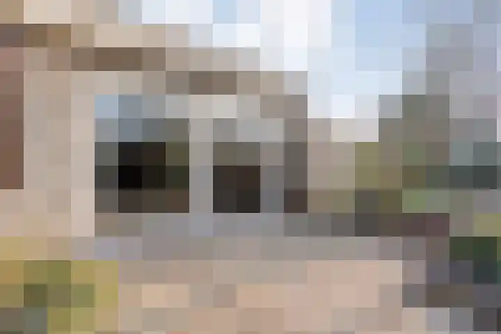 Van Fridaghmarke 22 Zwolle thumbnail 30