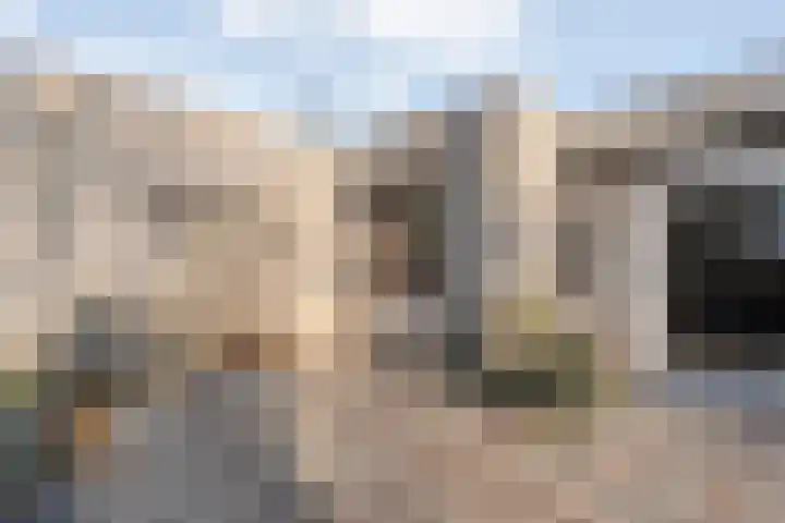 Van Fridaghmarke 22 Zwolle thumbnail 31