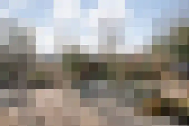 Van Fridaghmarke 22 Zwolle thumbnail 32