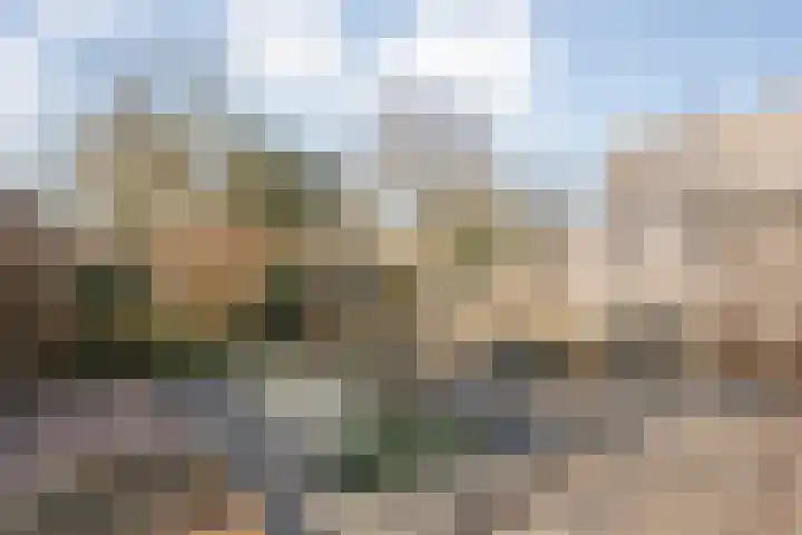 Van Fridaghmarke 22 Zwolle thumbnail 33