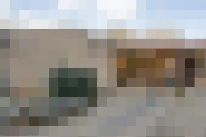 Van Fridaghmarke 22 Zwolle thumbnail 4