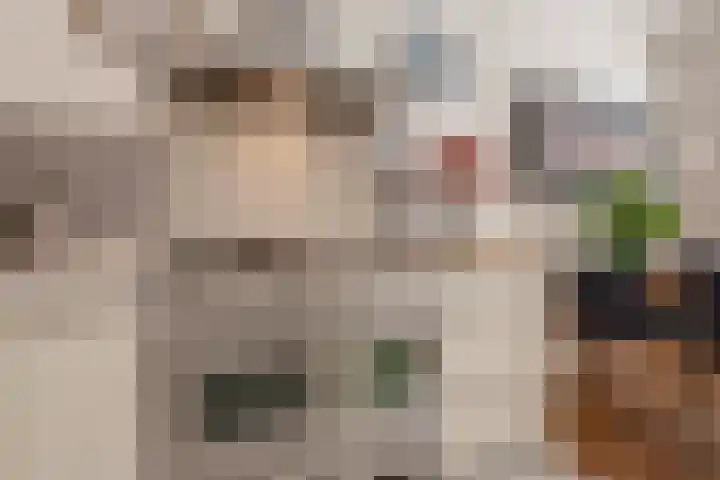 Van Gaalenlaan 4 Delft thumbnail 17