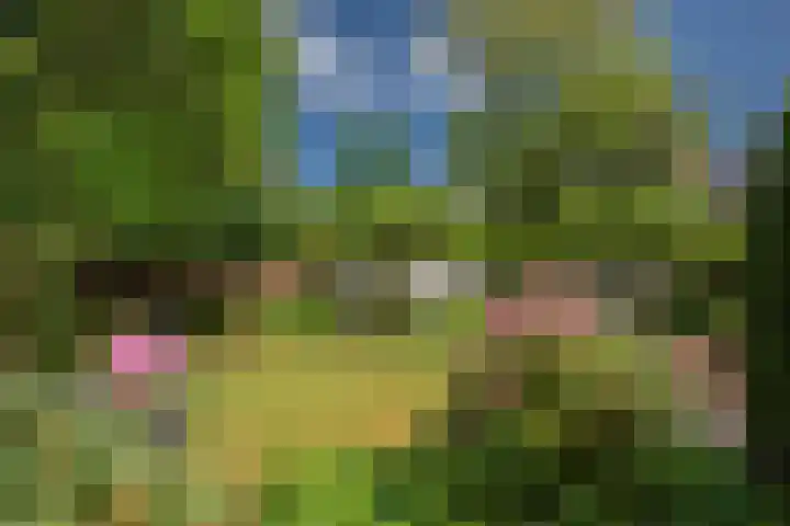 Van Gaalenlaan 4 Delft thumbnail 24