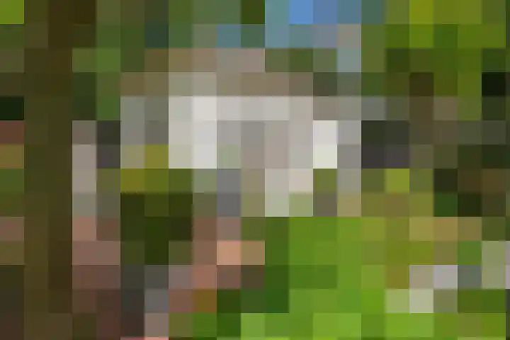 Van Gaalenlaan 4 Delft thumbnail 26