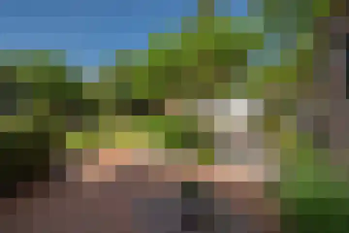 Van Gaalenlaan 4 Delft thumbnail 28