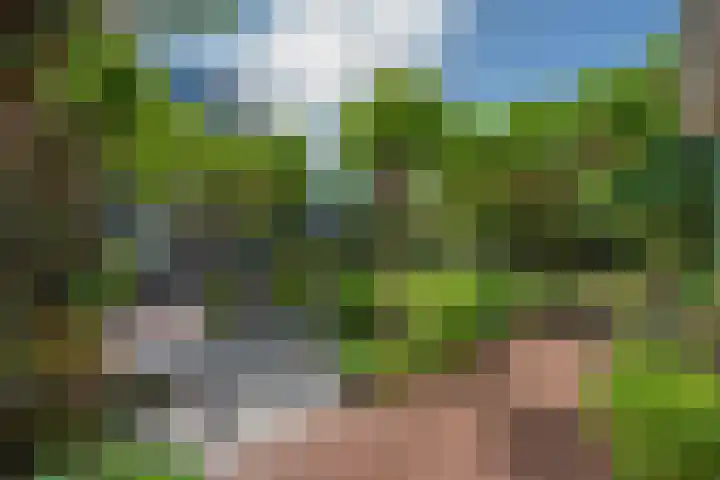 Van Gaalenlaan 4 Delft thumbnail 29