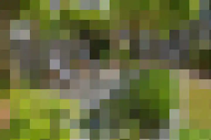 Van Gaalenlaan 4 Delft thumbnail 30