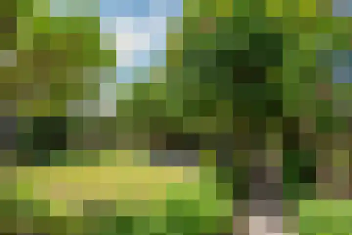 Van Gaalenlaan 4 Delft thumbnail 32