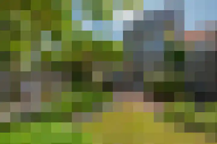 Van Gaalenlaan 4 Delft thumbnail 33
