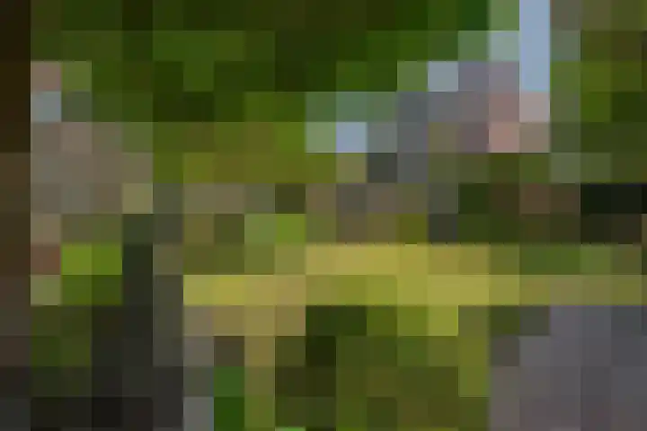 Van Gaalenlaan 4 Delft thumbnail 34