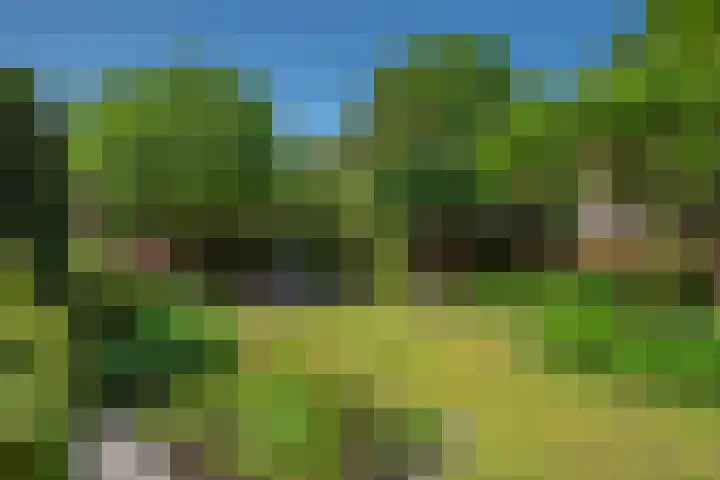 Van Gaalenlaan 4 Delft thumbnail 35