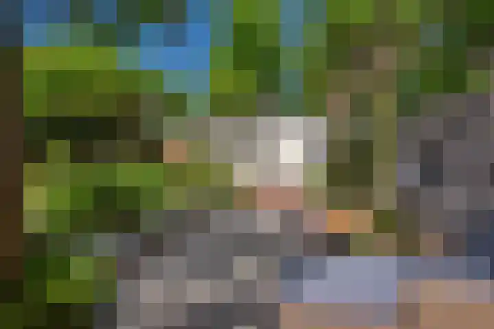 Van Gaalenlaan 4 Delft thumbnail 36