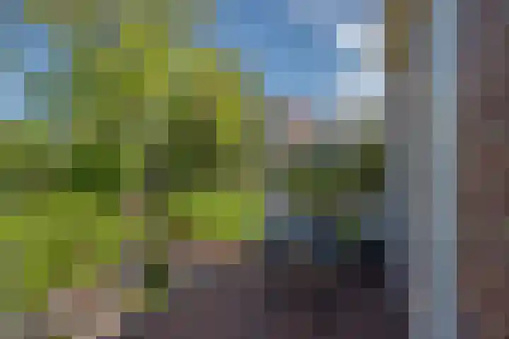 Van Gaalenlaan 4 Delft thumbnail 44