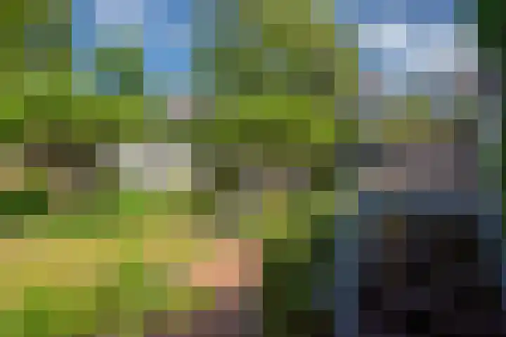 Van Gaalenlaan 4 Delft thumbnail 46